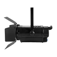 WW CW Fresnel Spotlight